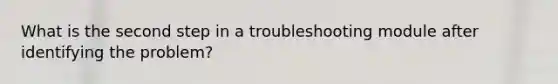 What is the second step in a troubleshooting module after identifying the problem?