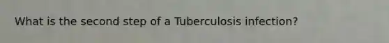 What is the second step of a Tuberculosis infection?