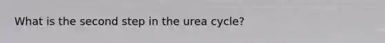 What is the second step in the urea cycle?