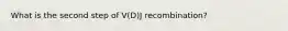 What is the second step of V(D)J recombination?