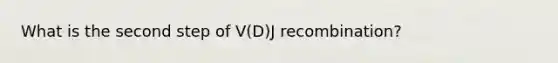 What is the second step of V(D)J recombination?