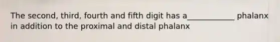 The second, third, fourth and fifth digit has a____________ phalanx in addition to the proximal and distal phalanx