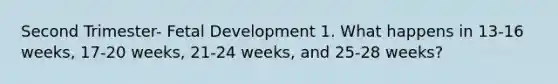 Second Trimester- Fetal Development 1. What happens in 13-16 weeks, 17-20 weeks, 21-24 weeks, and 25-28 weeks?