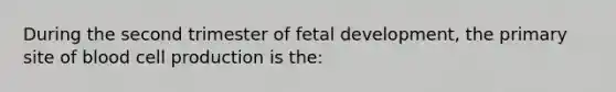 During the second trimester of fetal development, the primary site of blood cell production is the: