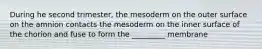 During he second trimester, the mesoderm on the outer surface on the amnion contacts the mesoderm on the inner surface of the chorion and fuse to form the _________ membrane