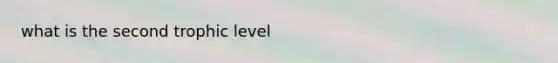 what is the second trophic level