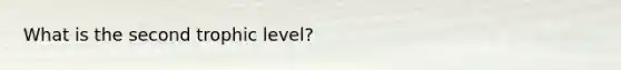 What is the second trophic level?