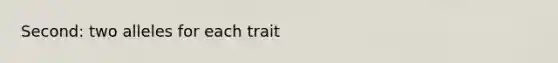 Second: two alleles for each trait