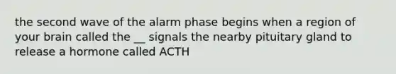 the second wave of the alarm phase begins when a region of your brain called the __ signals the nearby pituitary gland to release a hormone called ACTH