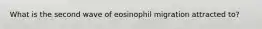 What is the second wave of eosinophil migration attracted to?