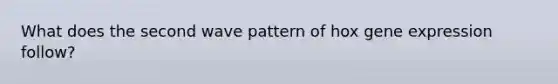 What does the second wave pattern of hox gene expression follow?