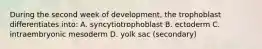 During the second week of development, the trophoblast differentiates into: A. syncytiotrophoblast B. ectoderm C. intraembryonic mesoderm D. yolk sac (secondary)