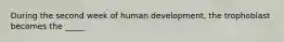 During the second week of human development, the trophoblast becomes the _____