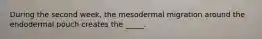 During the second week, the mesodermal migration around the endodermal pouch creates the _____.