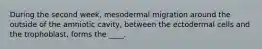 During the second week, mesodermal migration around the outside of the amniotic cavity, between the ectodermal cells and the trophoblast, forms the ____.