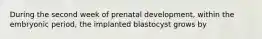 During the second week of prenatal development, within the embryonic period, the implanted blastocyst grows by