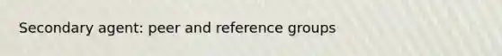 Secondary agent: peer and reference groups