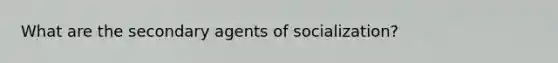 What are the secondary agents of socialization?