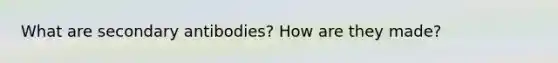 What are secondary antibodies? How are they made?