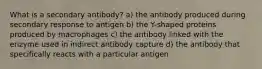 What is a secondary antibody? a) the antibody produced during secondary response to antigen b) the Y-shaped proteins produced by macrophages c) the antibody linked with the enzyme used in indirect antibody capture d) the antibody that specifically reacts with a particular antigen