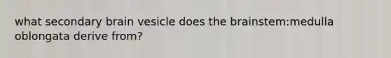 what secondary brain vesicle does the brainstem:medulla oblongata derive from?