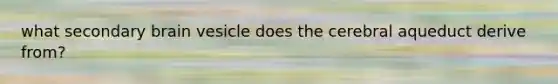 what secondary brain vesicle does the cerebral aqueduct derive from?