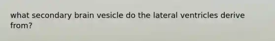 what secondary brain vesicle do the lateral ventricles derive from?