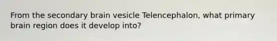 From the secondary brain vesicle Telencephalon, what primary brain region does it develop into?