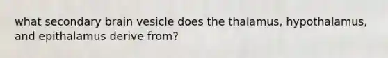 what secondary brain vesicle does the thalamus, hypothalamus, and epithalamus derive from?