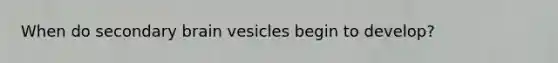 When do secondary brain vesicles begin to develop?