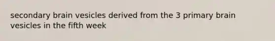 secondary brain vesicles derived from the 3 primary brain vesicles in the fifth week