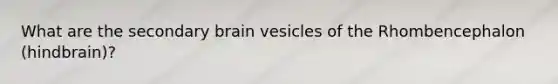 What are the secondary brain vesicles of the Rhombencephalon (hindbrain)?