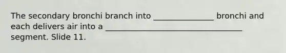 The secondary bronchi branch into _______________ bronchi and each delivers air into a __________________________________ segment. Slide 11.