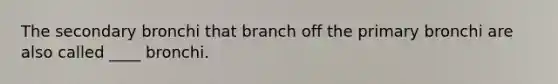 The secondary bronchi that branch off the primary bronchi are also called ____ bronchi.