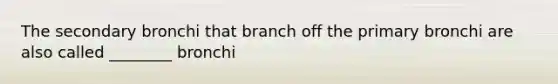 The secondary bronchi that branch off the primary bronchi are also called ________ bronchi