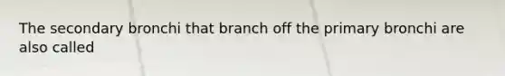 The secondary bronchi that branch off the primary bronchi are also called