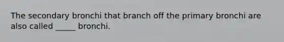 The secondary bronchi that branch off the primary bronchi are also called _____ bronchi.