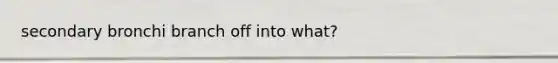 secondary bronchi branch off into what?