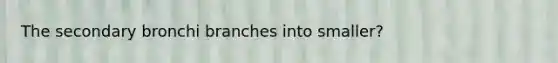 The secondary bronchi branches into smaller?