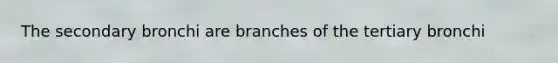 The secondary bronchi are branches of the tertiary bronchi