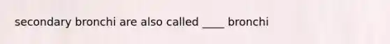 secondary bronchi are also called ____ bronchi