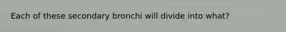 Each of these secondary bronchi will divide into what?