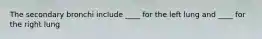 The secondary bronchi include ____ for the left lung and ____ for the right lung