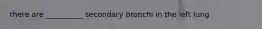 there are __________ secondary bronchi in the left lung