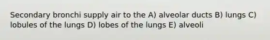 Secondary bronchi supply air to the A) alveolar ducts B) lungs C) lobules of the lungs D) lobes of the lungs E) alveoli