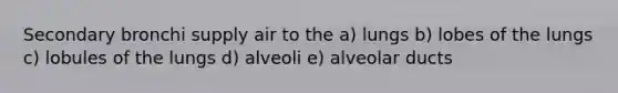 Secondary bronchi supply air to the a) lungs b) lobes of the lungs c) lobules of the lungs d) alveoli e) alveolar ducts