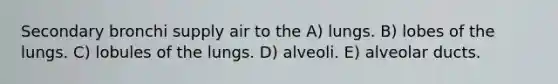 Secondary bronchi supply air to the A) lungs. B) lobes of the lungs. C) lobules of the lungs. D) alveoli. E) alveolar ducts.