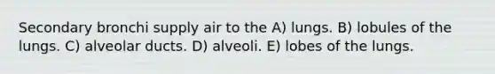 Secondary bronchi supply air to the A) lungs. B) lobules of the lungs. C) alveolar ducts. D) alveoli. E) lobes of the lungs.