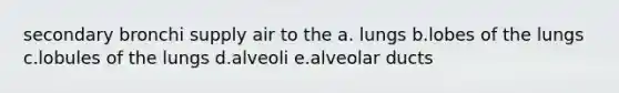 secondary bronchi supply air to the a. lungs b.lobes of the lungs c.lobules of the lungs d.alveoli e.alveolar ducts