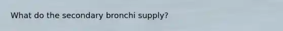 What do the secondary bronchi supply?